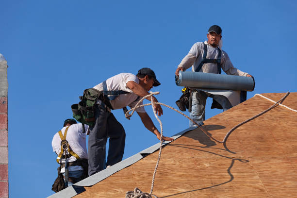 Best Emergency Roof Repair  in Level Park Oak Park, MI